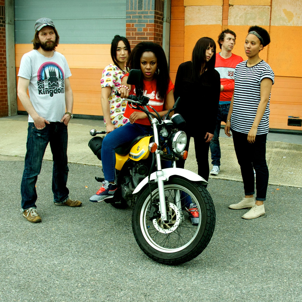 Foto de The Go! Team  nmero 76246