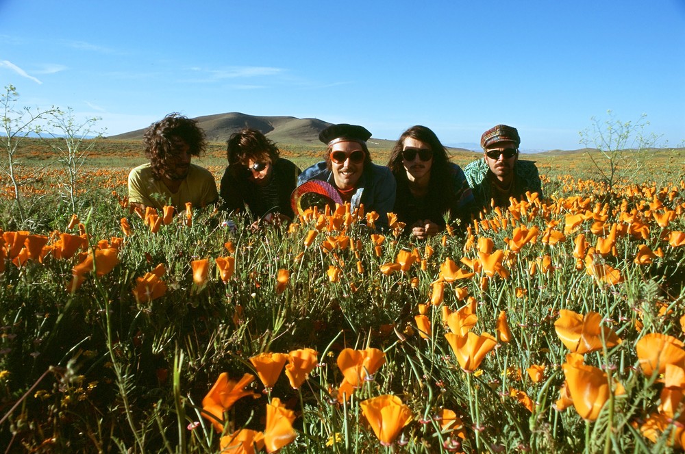Foto de The Growlers  nmero 72308