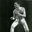 Foto de Freddie Mercury nmero 3071
