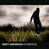 Brett Anderson lanza nuevo disco el día 21 de Octubre
