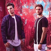 Liam Payne con Zedd 'Get Low' video