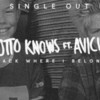 Otto Konows con Avicii 'Back Where I Belong' video